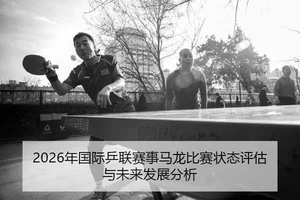 nian-guo-ji-ping-lian-sai-shi-ma-long-bi-sai-zhuang-tai-ping-gu-yu-wei-lai-fa-zhan-fen-xi-2-424.jpg